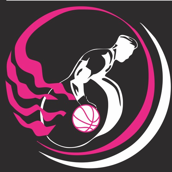 Wheelchair Basketball Basketball Queensland